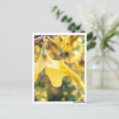 Postkarte - Belbe Blüte Briefkaart (Staand voorkant)