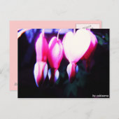 Postkarte - Blumenherzen Briefkaart (Voorkant / Achterkant)