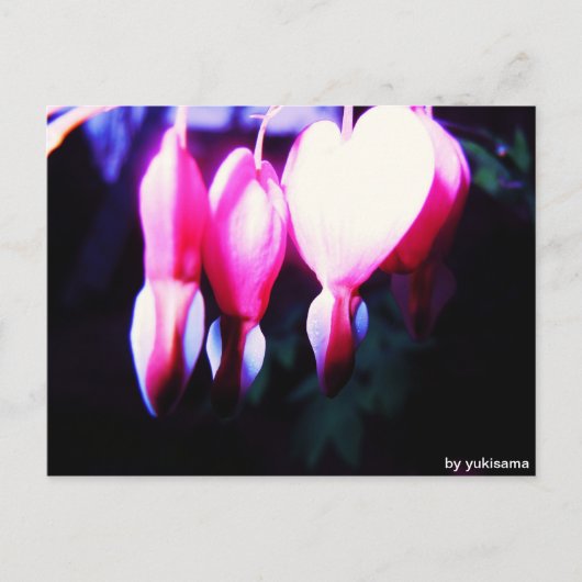 Postkarte - Blumenherzen Briefkaart (Voorkant)