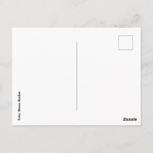 Postkarte Bodensee Briefkaart (Achterkant)