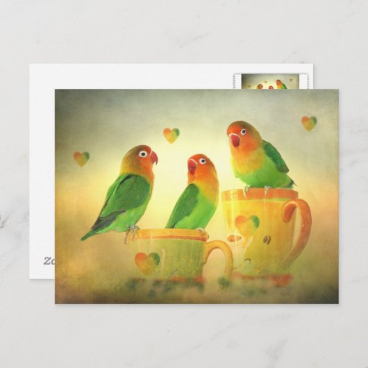 Postkarte Briefkaart (Voorkant / Achterkant)