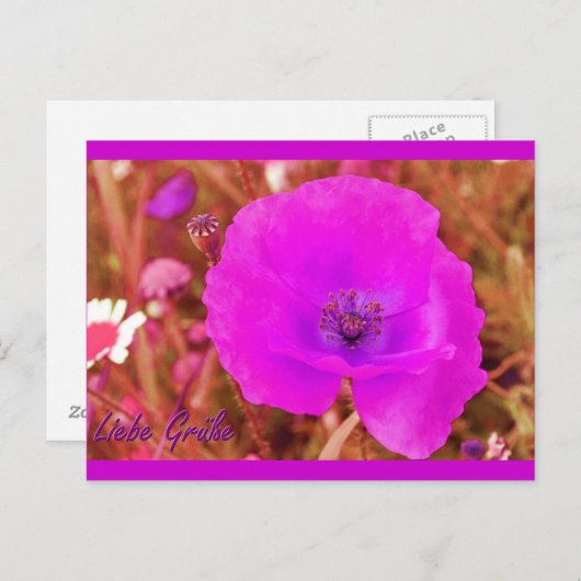 Postkarte Briefkaart (Voorkant / Achterkant)