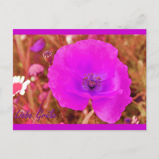 Postkarte Briefkaart