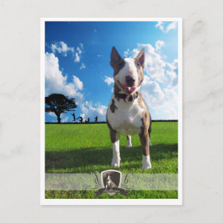 Postkarte Bullanger Briefkaart