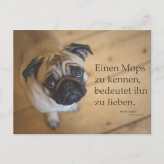Postkarte Einen Mops zu .... Briefkaart