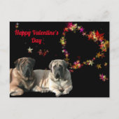 Postkarte English Mastiff Valentinstags Briefkaart (Voorkant)