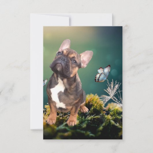 Postkarte französische  Bulldogge  Save The Date (Voorkant)