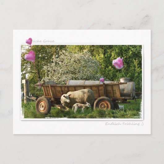 Postkarte: Frühling Briefkaart (Voorkant)