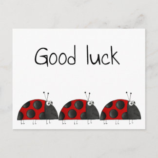 Postkarte geluk, Glückwunschkarte, Marienkäfer Briefkaart