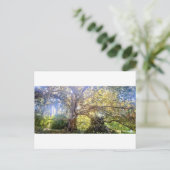 Postkarte Großer Laubbaum Briefkaart (Staand voorkant)