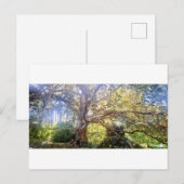 Postkarte Großer Laubbaum Briefkaart (Voorkant / Achterkant)