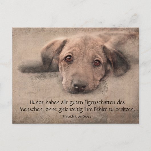 Postkarte Hundewelpe mit Zitat Briefkaart (Voorkant)
