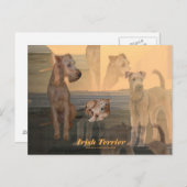 Postkarte "Irish Terrier" Briefkaart (Voorkant / Achterkant)