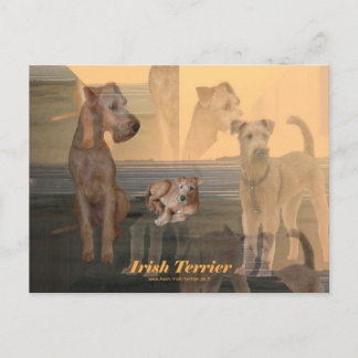 Postkarte "Irish Terrier" Briefkaart