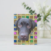 Postkarte Labrador Jimmy Briefkaart (Staand voorkant)
