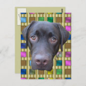 Postkarte Labrador Jimmy Briefkaart (Voorkant / Achterkant)