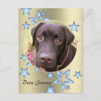 Postkarte Labrador Jimmy Briefkaart