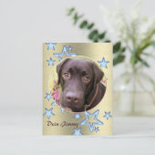 Postkarte Labrador Jimmy Briefkaart (Staand voorkant)