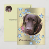 Postkarte Labrador Jimmy Briefkaart (Voorkant / Achterkant)