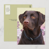 Postkarte Labrador Lorenzo Briefkaart (Voorkant / Achterkant)