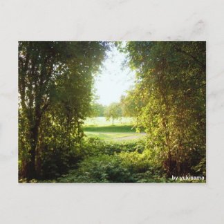 Postkarte - Laubfenster Briefkaart