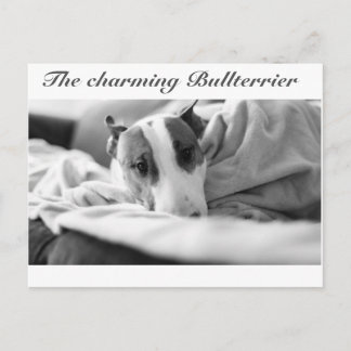Postkarte mit Bullangermotiv Briefkaart
