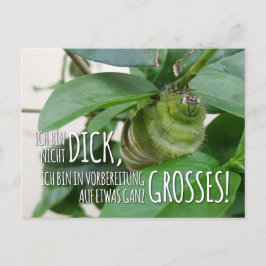 Postkarte mit Raupe & Humor  Briefkaart