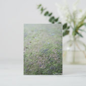 Postkarte - Moß Briefkaart (Staand voorkant)