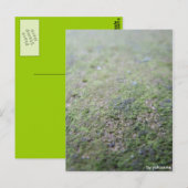 Postkarte - Moß Briefkaart (Voorkant / Achterkant)
