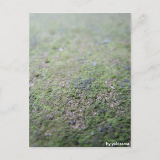 Postkarte - Moß Briefkaart