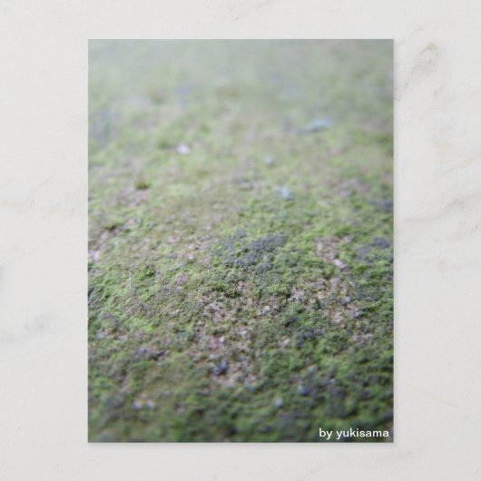 Postkarte - Moß Briefkaart (Voorkant)