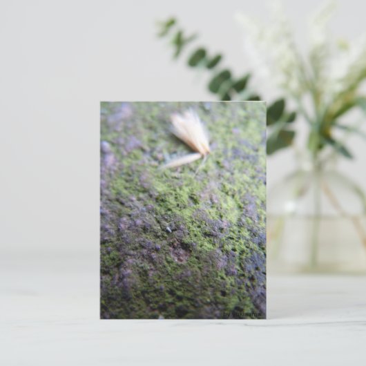 Postkarte - Moß&Pollen Briefkaart (Staand voorkant)
