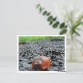 Postkarte - Nacktschnecke Briefkaart (Staand voorkant)