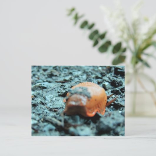 Postkarte - Nacktschnecke II Briefkaart (Staand voorkant)