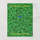 Postkarte - Neujahr Briefkaart (Voorkant)