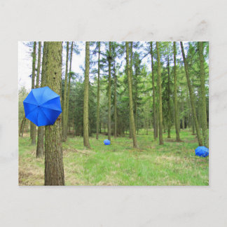 Postkarte - neulich im Wald Briefkaart