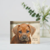 Postkarte "Ohne Dich ist alles doof!" Briefkaart (Staand voorkant)