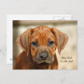 Postkarte "Ohne Dich ist alles doof!" Briefkaart (Voorkant / Achterkant)