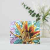 Postkarte - Oranje Blume Briefkaart (Staand voorkant)