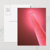 Postkarte - Pinkshot Briefkaart (Voorkant / Achterkant)