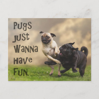 Postkarte "Pugs just wanna have fun" Briefkaart