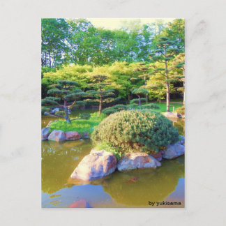 Postkarte - Schildkröten Insel Briefkaart