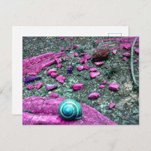 Postkarte "SnailShell" Briefkaart (Voorkant / Achterkant)