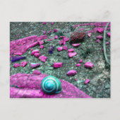 Postkarte "SnailShell" Briefkaart (Voorkant)