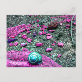 Postkarte "SnailShell" Briefkaart