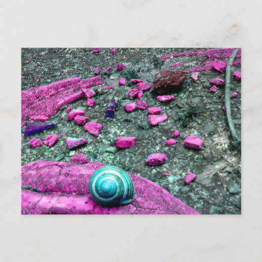 Postkarte "SnailShell" Briefkaart (Voorkant)