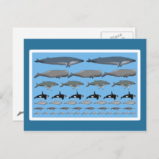 Postkarte "Wale" Briefkaart (Voorkant / Achterkant)