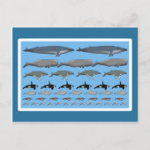 Postkarte "Wale" Briefkaart (Voorkant)