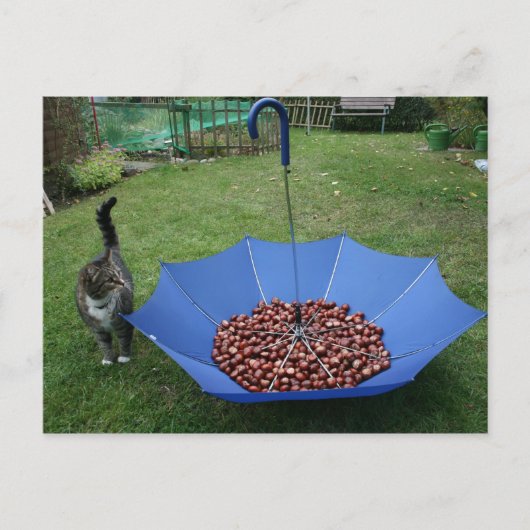 Postkarte - wer bist du denn? briefkaart (Voorkant)