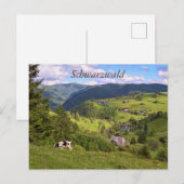 Postkarte: Wiesen und eine Kuh mit Panoramaansicht Briefkaart (Voorkant / Achterkant)